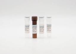 FP Glycosyltransferase Assay
