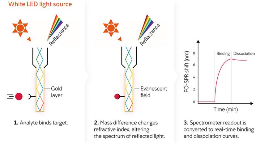 Surface plasmon resonance for biomolecular interaction analysis