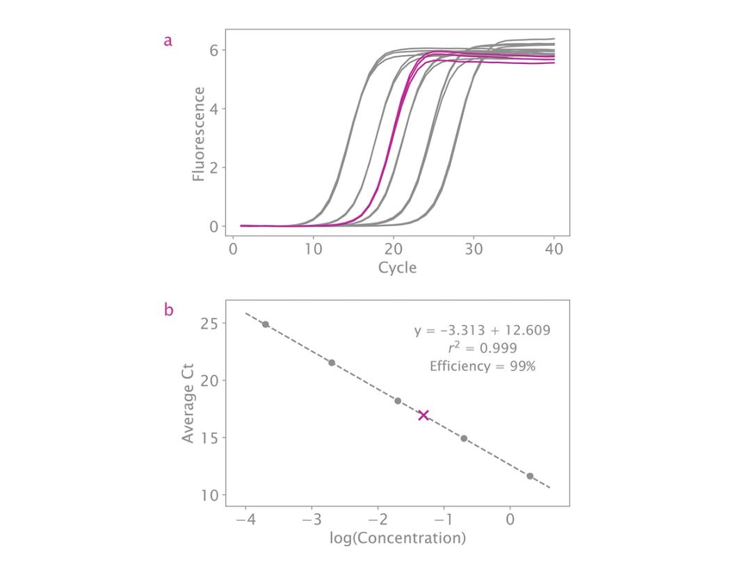 Optimal standard curve and high efficiency