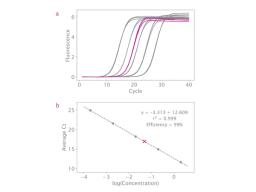 Optimal standard curve and high efficiency