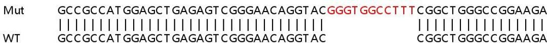 Sanger Seq - CSNK1D knockout HeLa