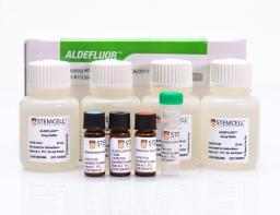 ALDEFLUOR Kit