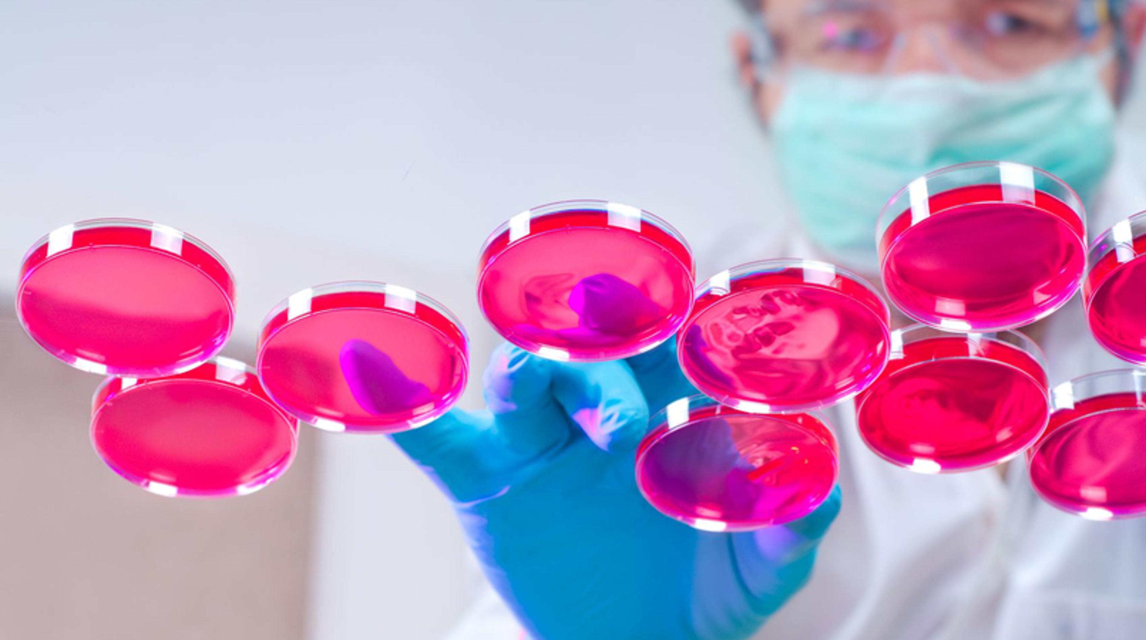 Breakthrough cell line development technologies Breakthrough cell line development technologies