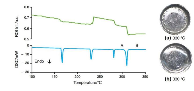 Differential scanning calorimetry and region of interest intensity profiles are plotted as a function of temperature