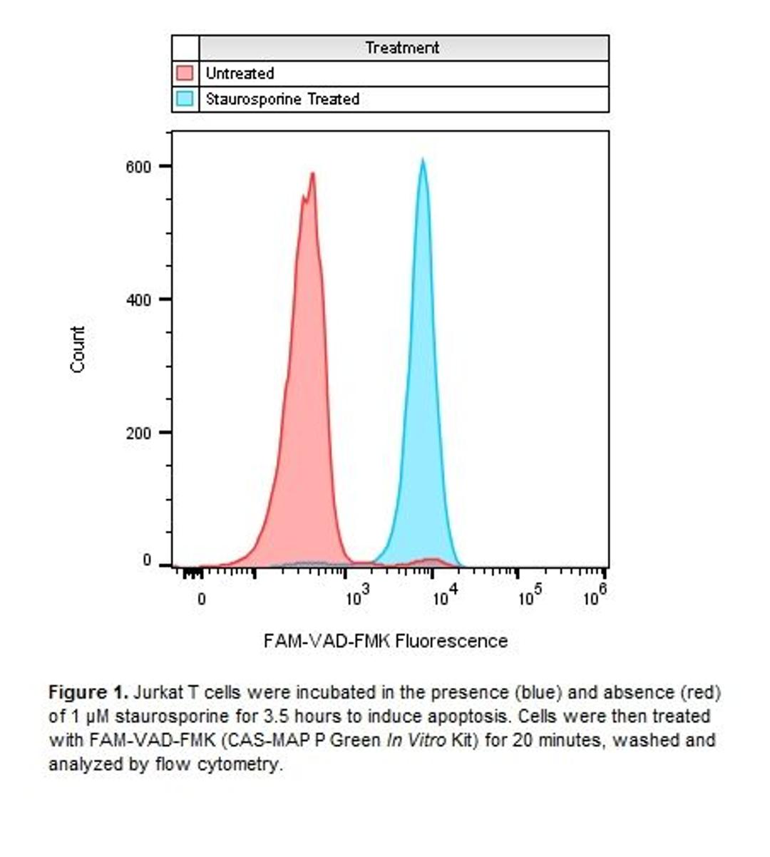 Pan Caspase stained Jurkatcell after staurosporin induction