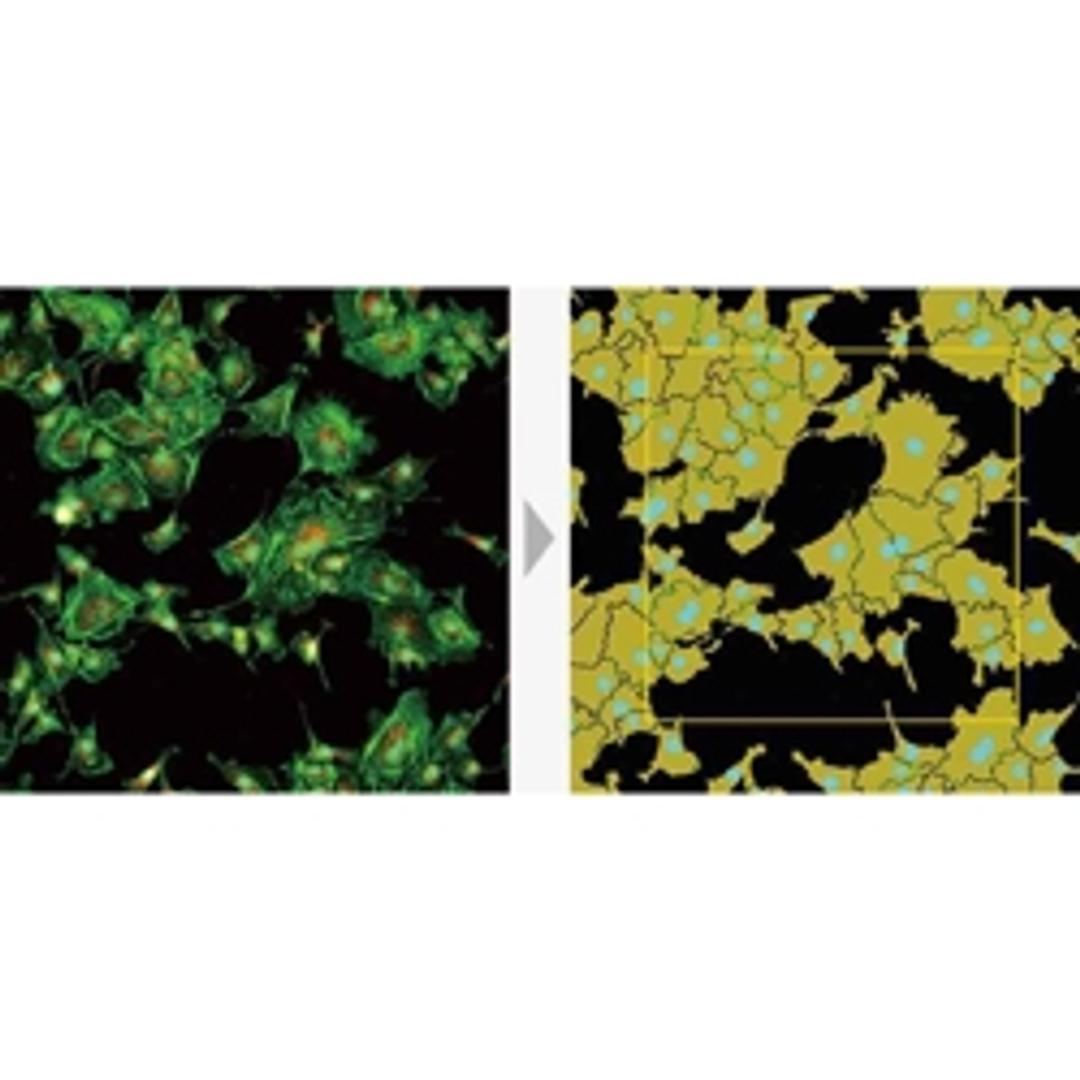 Large FOV enables measurement of larger areas and high-throu