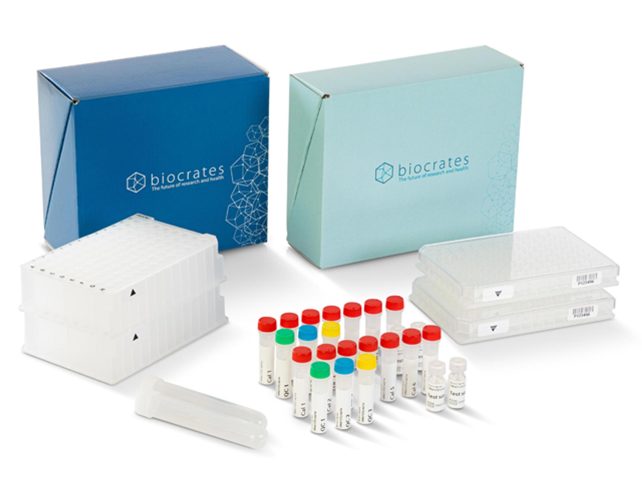 Thermo Scientific™ PageRuler™ Plus Prestained Protein Ladder, 10 to 250 kDa