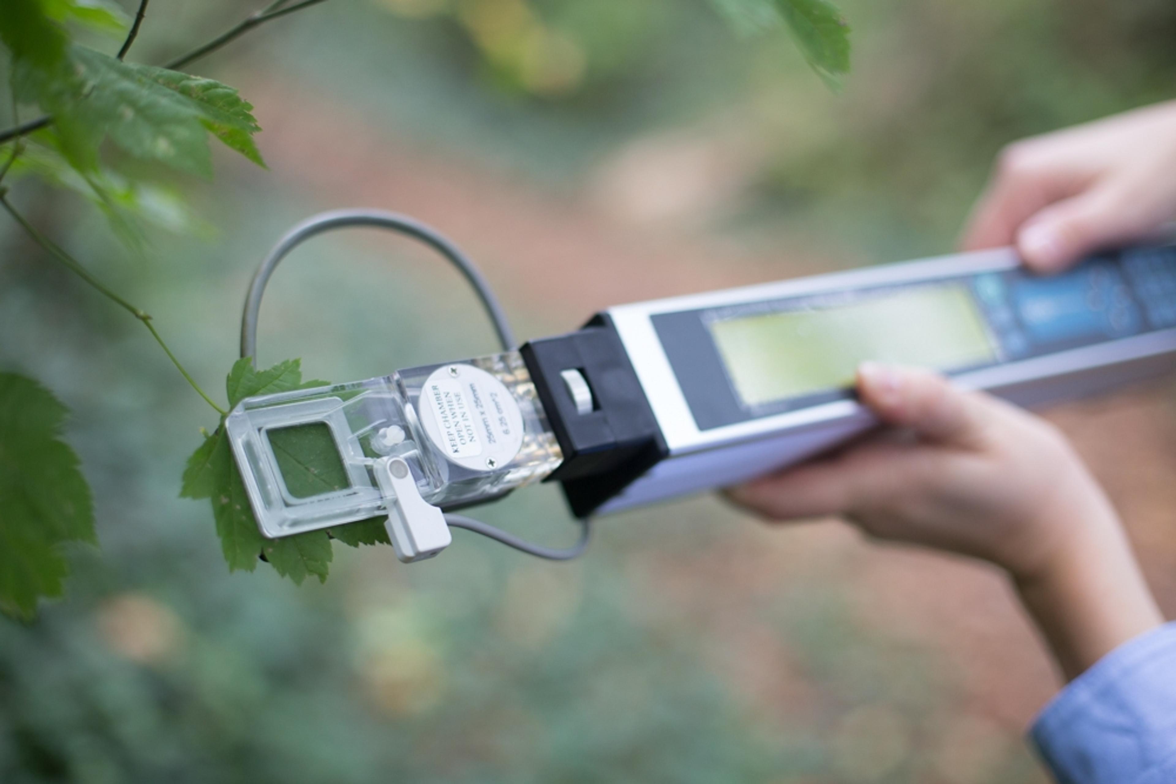 CI-340 Handheld Photosynthesis System in the field.