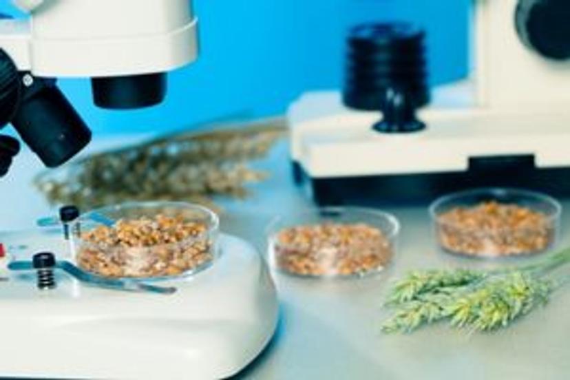 Fighting for food safety: A guide to maximizing agricultural and food safety testing