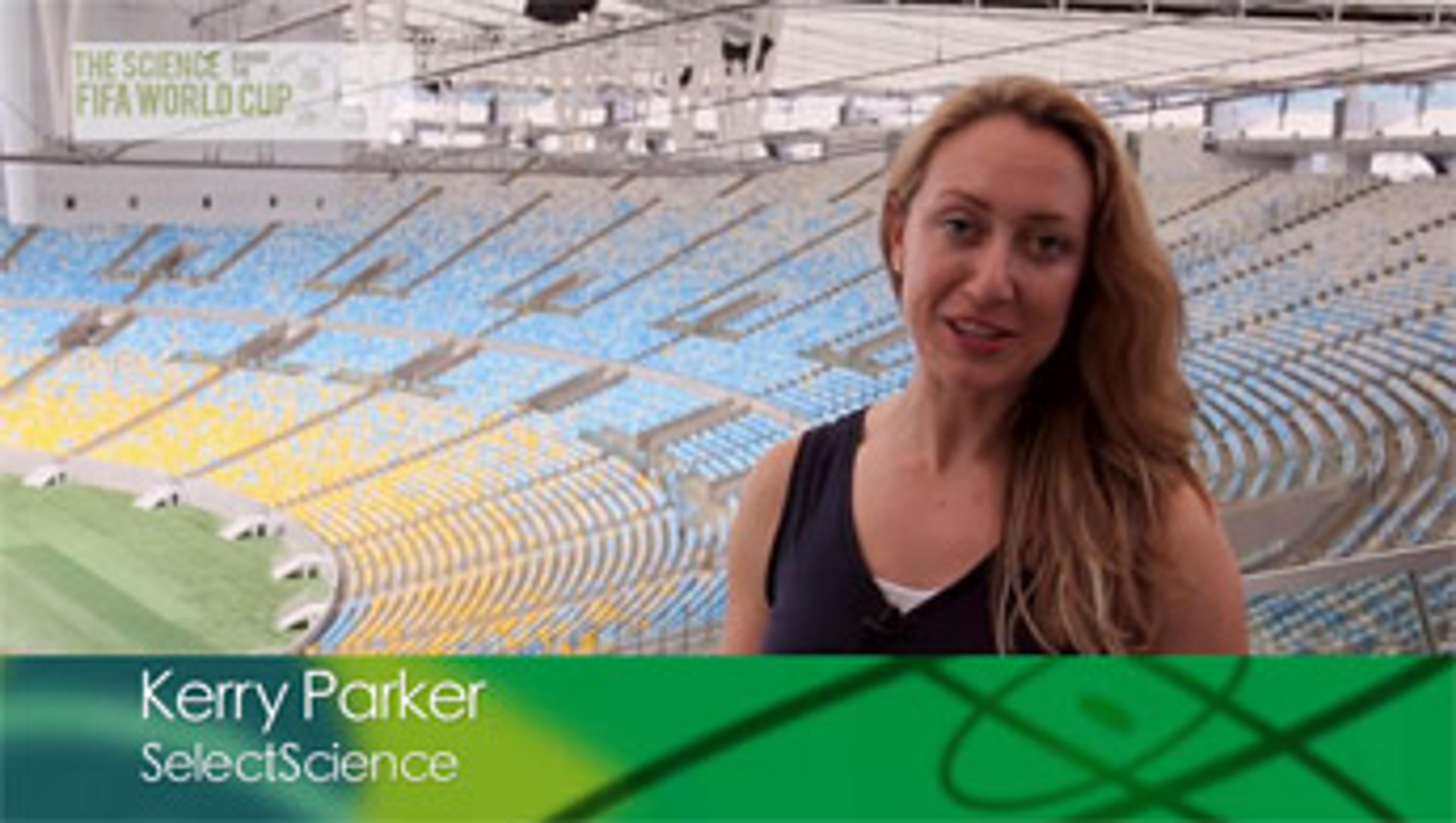 Welcome to the FIFA World Cup Special Feature Welcome to the FIFA World Cup Special Feature