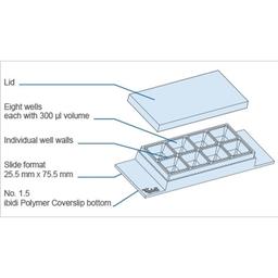 Key Features of the µ-Slide 8 Well high