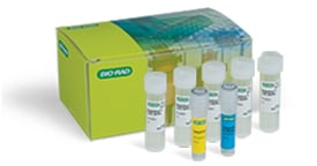Buy SingleShot™ Cell Lysis Kit, 500 x 50 µl rxns Read Reviews
