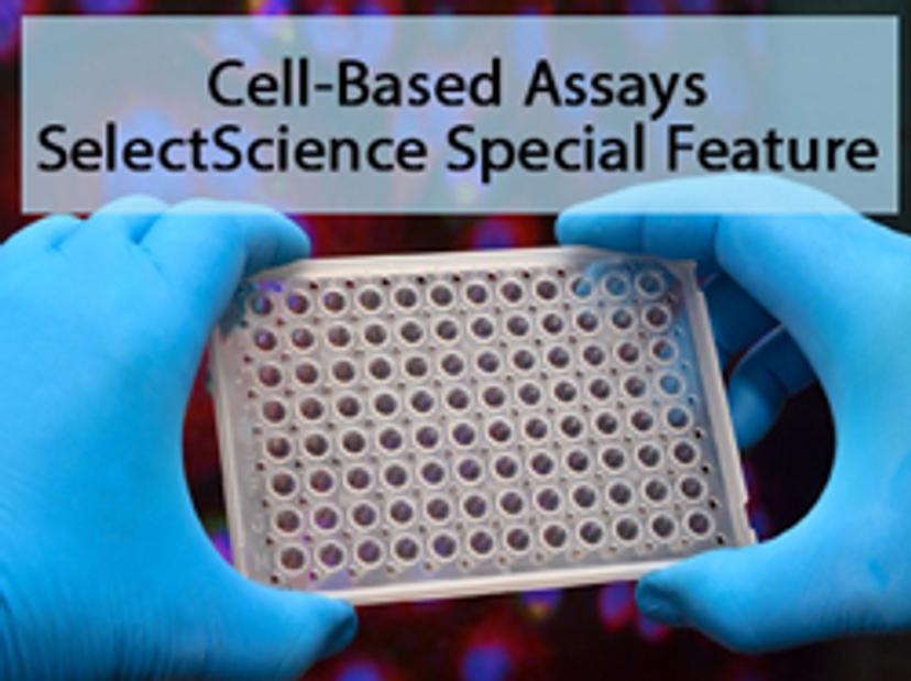 Cell-based assays SelectScience special feature - best of life sciences 2019