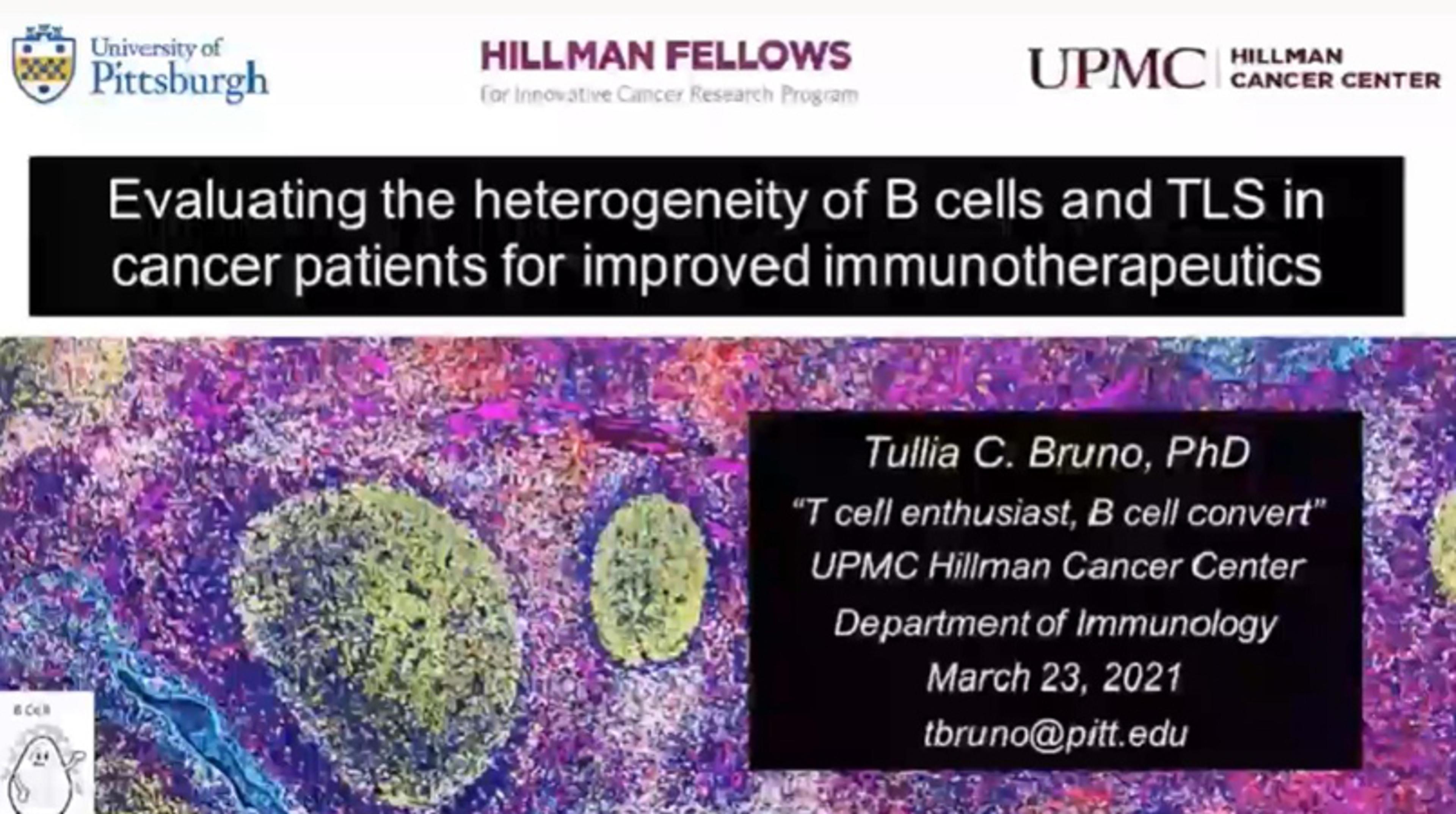 Evaluating the heterogeneity of B cells and TLS in lung cancer patients for improved immunotherapeutics Evaluating the heterogeneity of B cells and TLS in lung cancer patients for improved immunotherapeutics