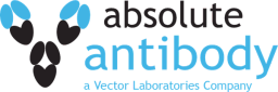 Absolute Antibody