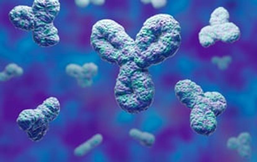 Comparing SDS-PAGE with Maurice CE-SDS for protein purity analysis