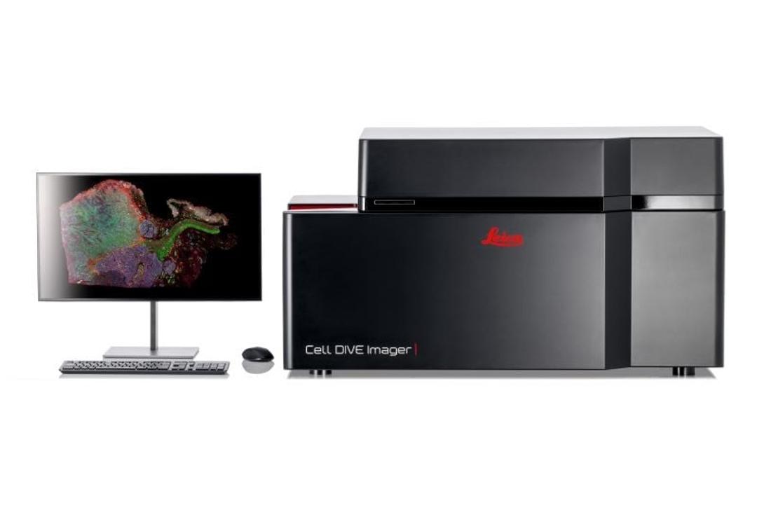 Multiplexed Imaging Solution Cell DIVE