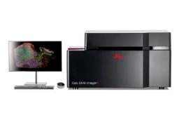 Multiplexed Imaging Solution Cell DIVE