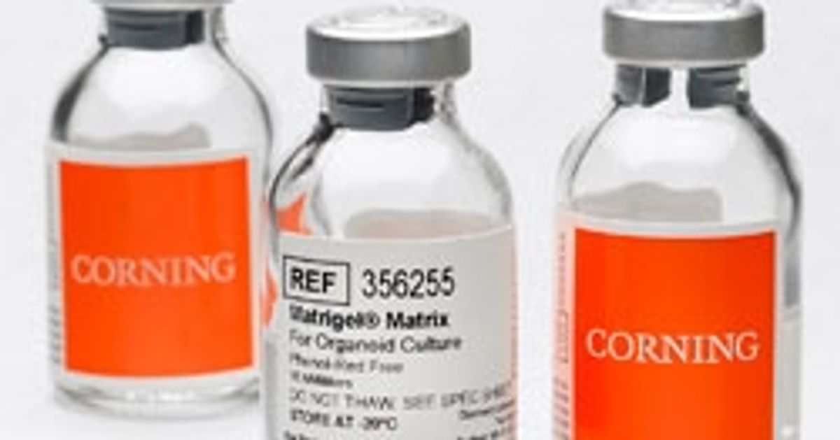 Corning Matrigel Matrix for Organoids SelectScience