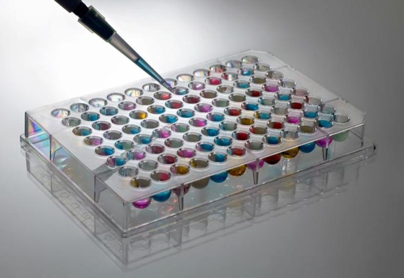 Well plates used to help generate chemogenomic libraries to accelerate rational drug discovery