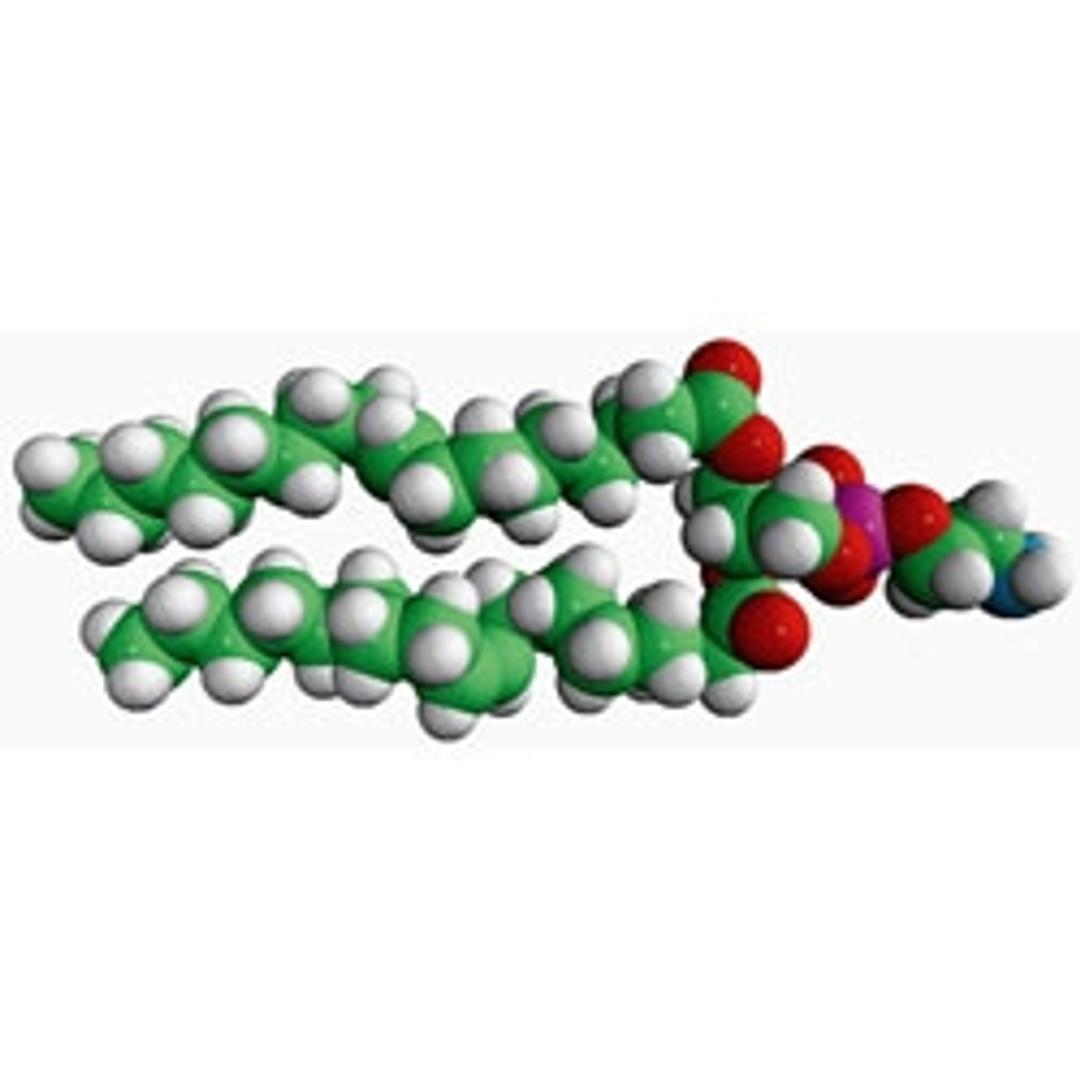 18:1 (?9-Cis) PE (DOPE) 1,2-dioleoyl-sn-glycero-3-phosphoeth