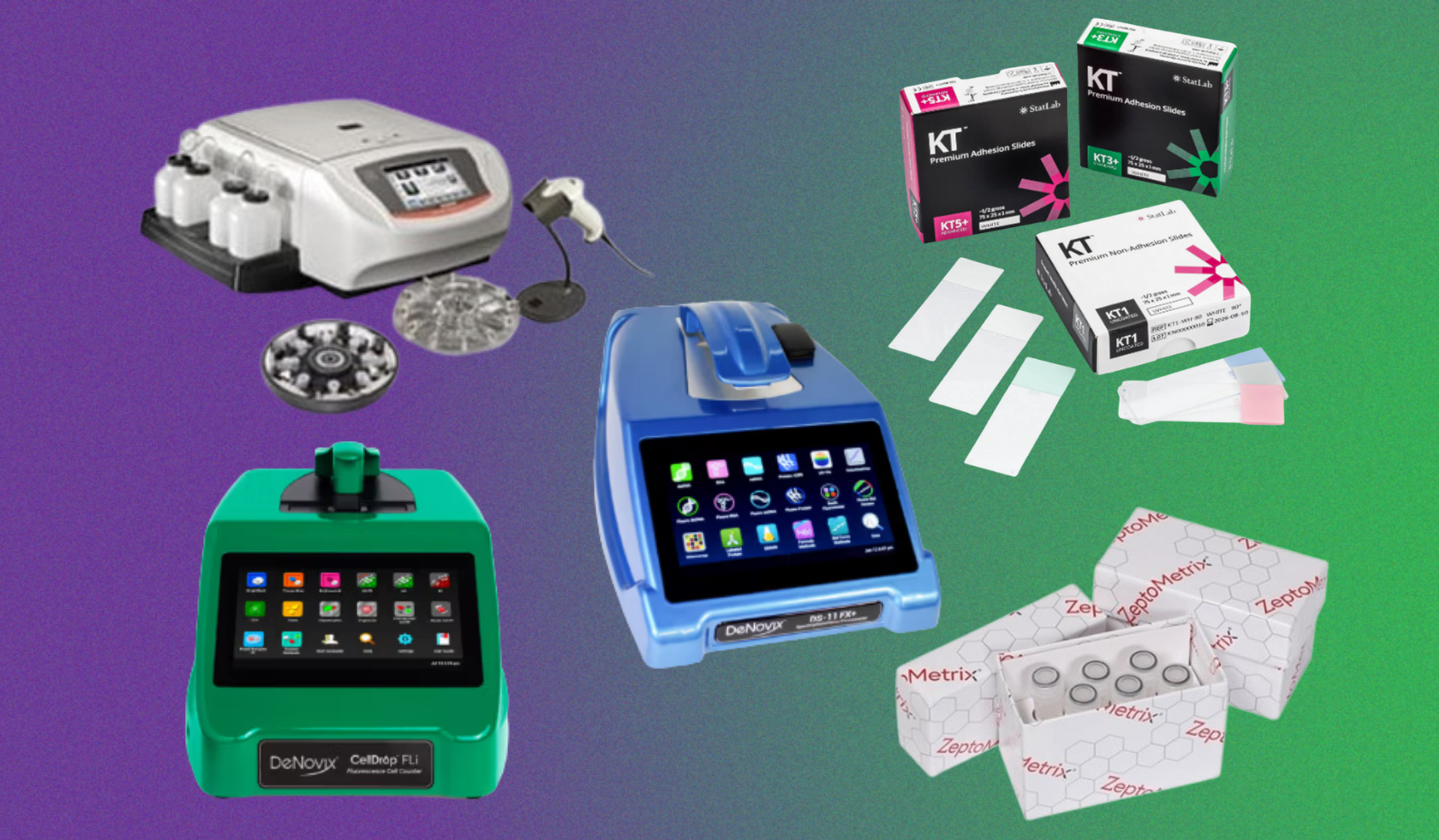 Top rated by women in science