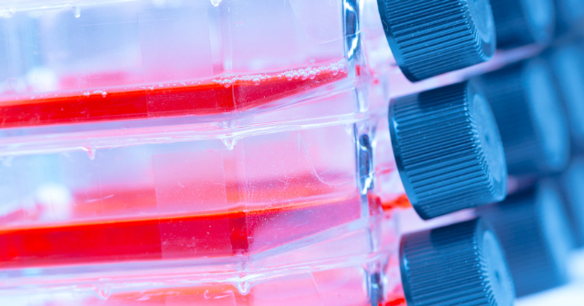 Optimize your cell line development workflows with strategic analytical ...