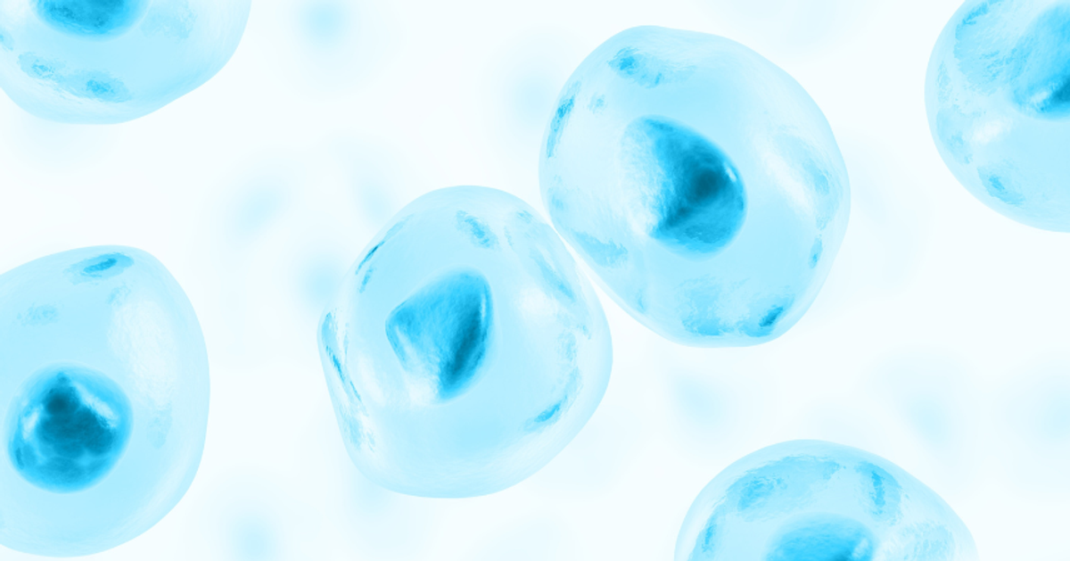 Amsbio launches synthetic cell mimics - SelectScience news