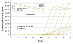 Fluorescence and optimal reaction efficiencies