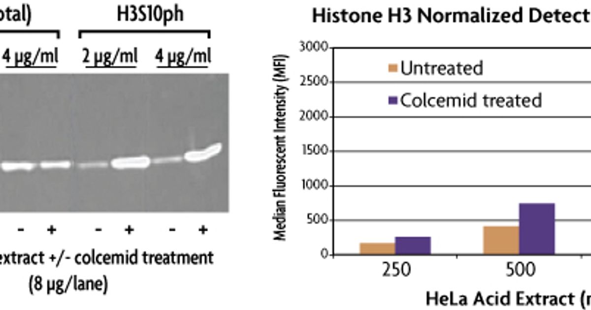 Buy Histone H3 PTM Multiplex Assay Read Reviews