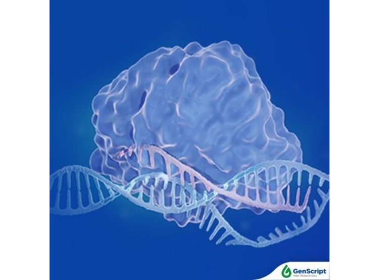 GenScript