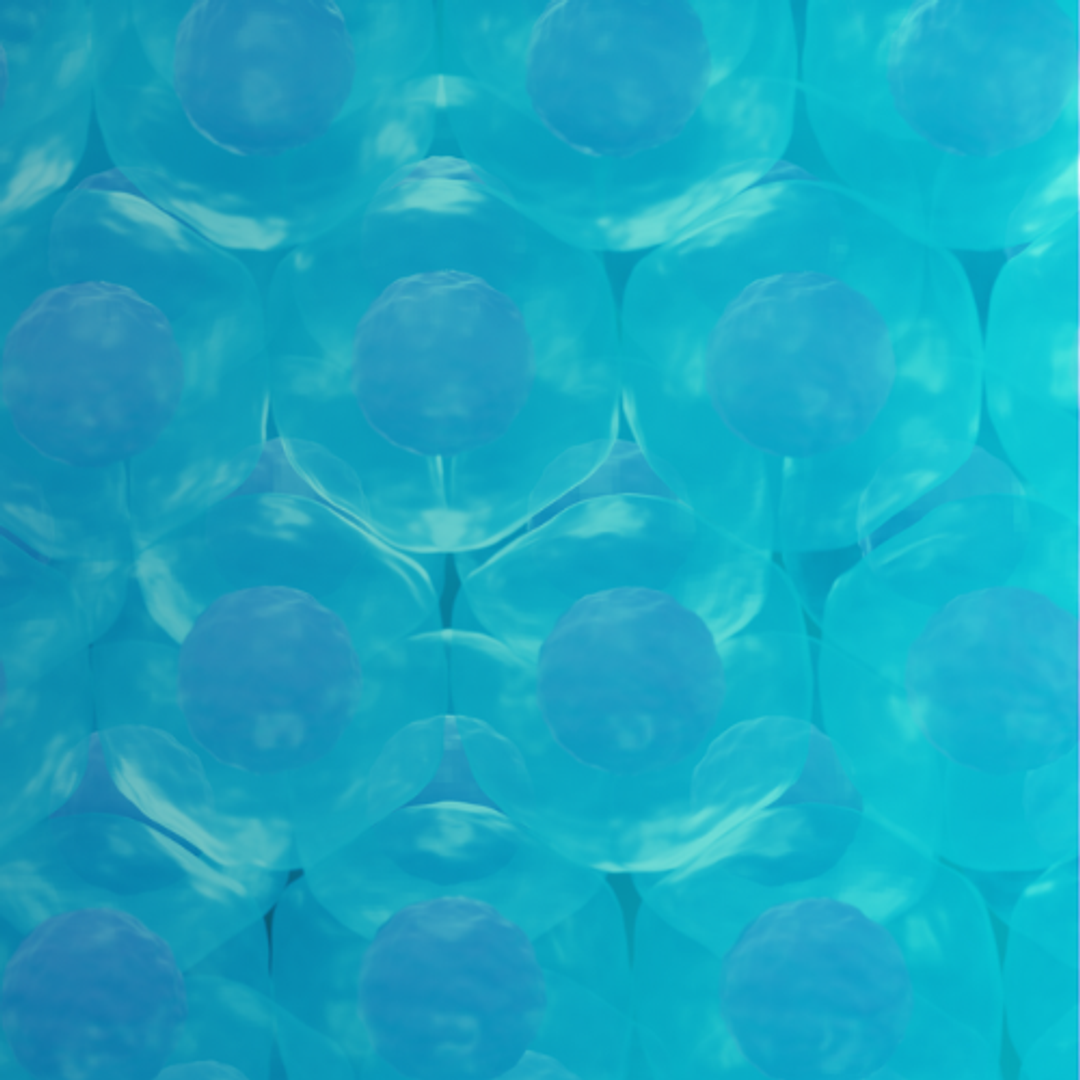 3D Cell Culture