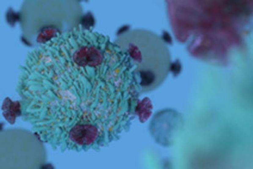 Measuring T-cell exhaustion: A multiplexed approach utilizing advanced flow cytometry