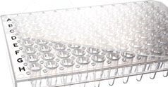 Porte-embouts De Porte-tête Fishpond XL + 10 Rouleaux De Fluorocarbone Scientific Anglers - Neuf, Pêche à La Mouche
