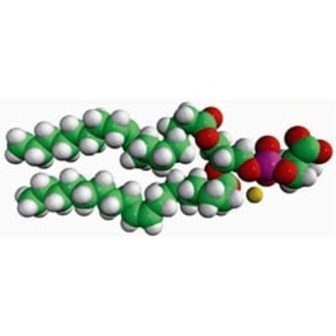 18:1 PS (DOPS) 1,2-dioleoyl-sn-glycero-3-phospho-L-serine (s