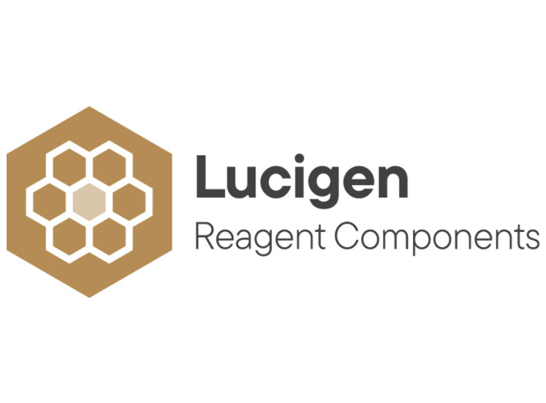 NxGen T4 DNA Ligase - LGC Biosearch Technologies - Life Sciences