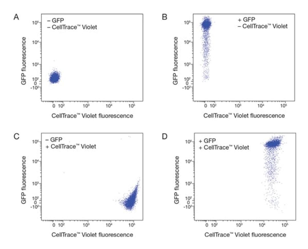 Compatibility of CellTrace Violet stain.