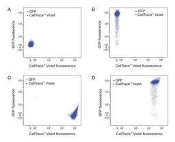 Compatibility of CellTrace Violet stain.