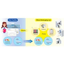 Flow chart showing how contract imaging services at the Niko