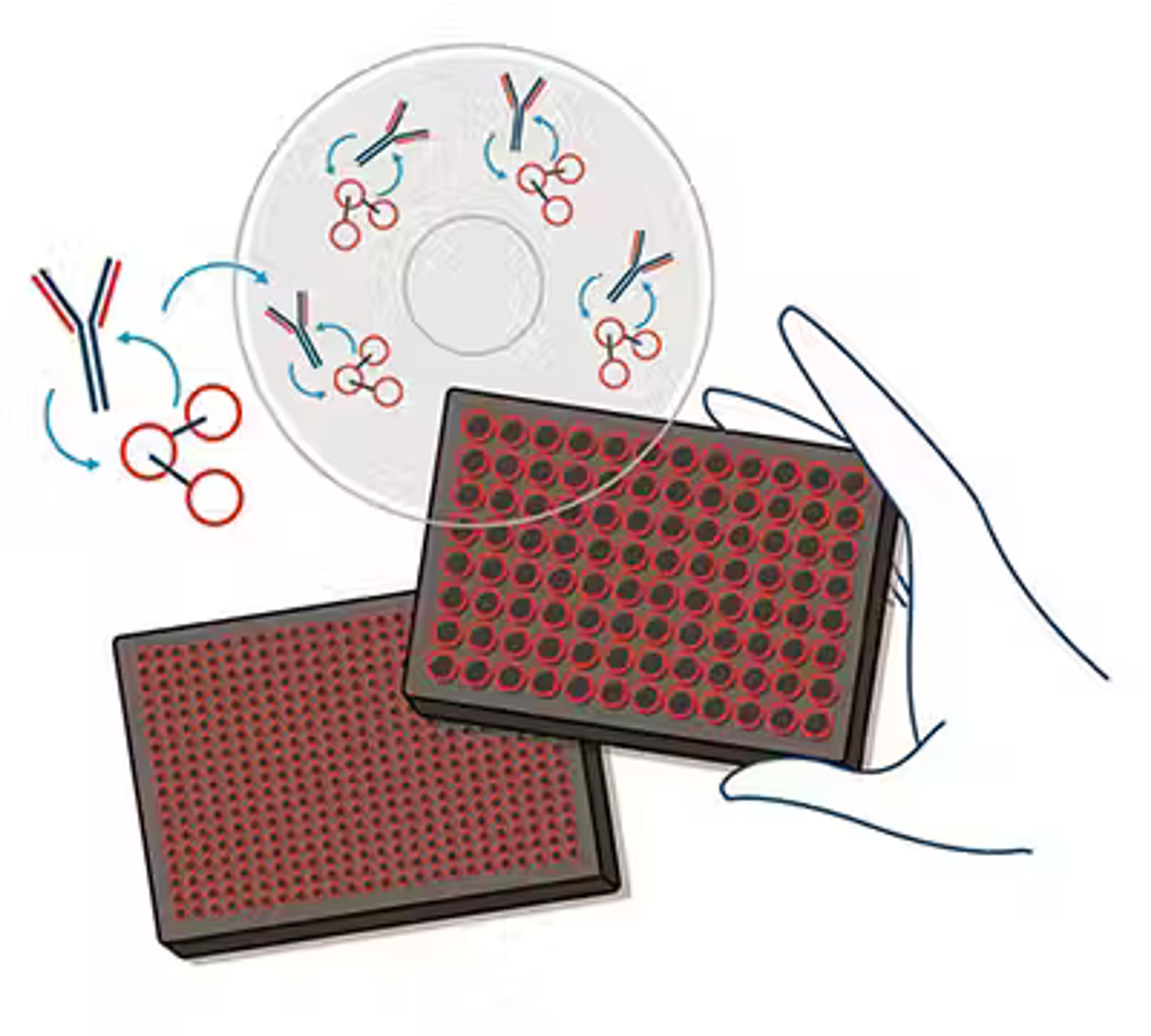 Rapid, high-throughput IgG quantification assay.