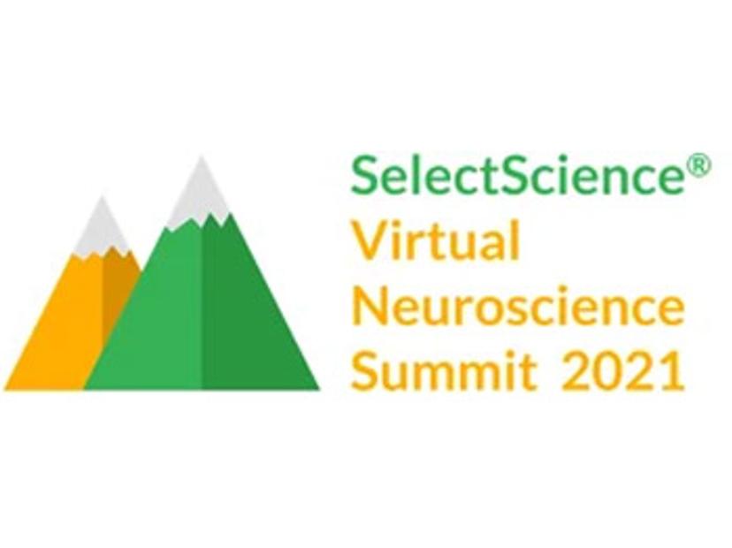 Neuroscience summit 2021