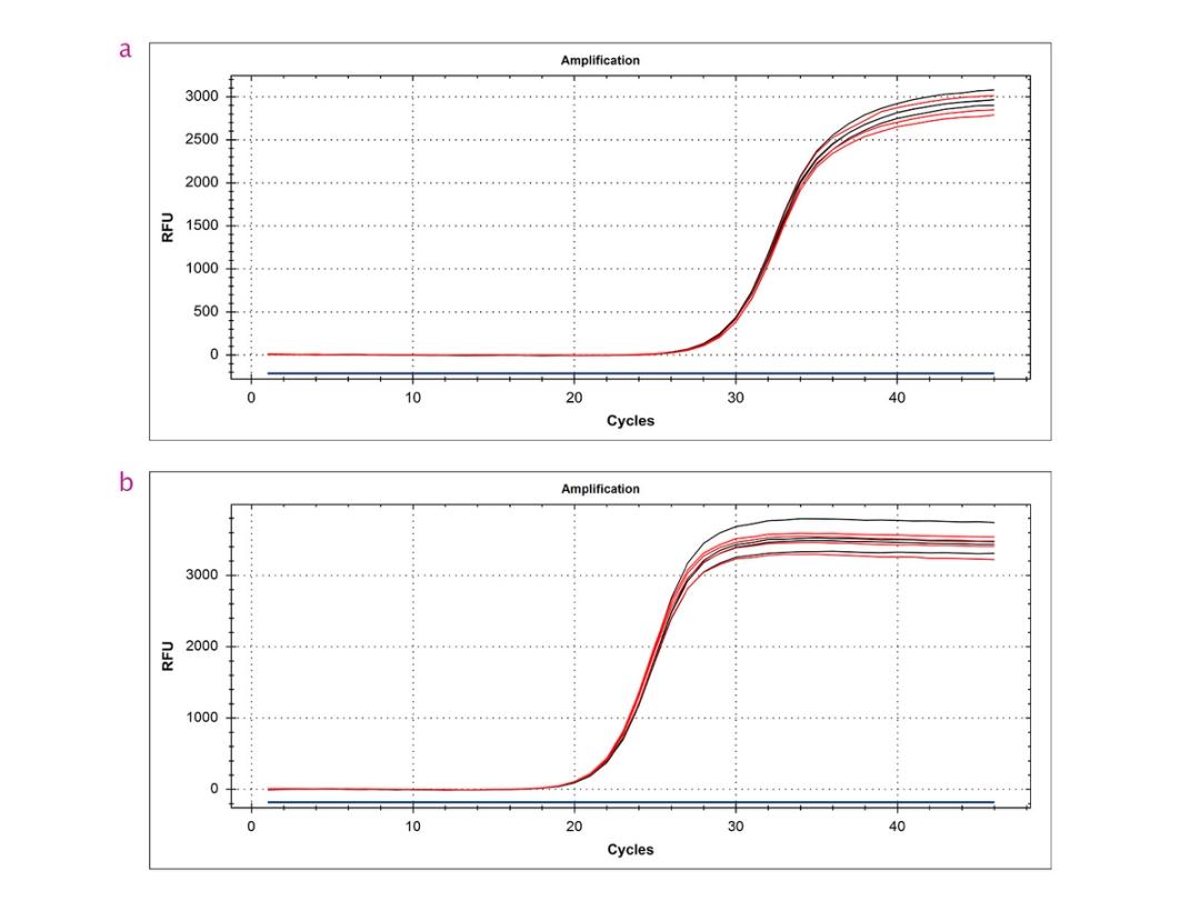 Unbiased representation of mRNA ends