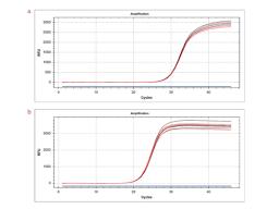 Unbiased representation of mRNA ends