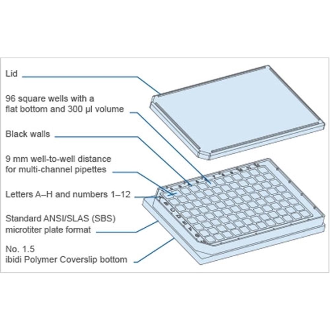 Key Features µ-Slide 96 Well Black