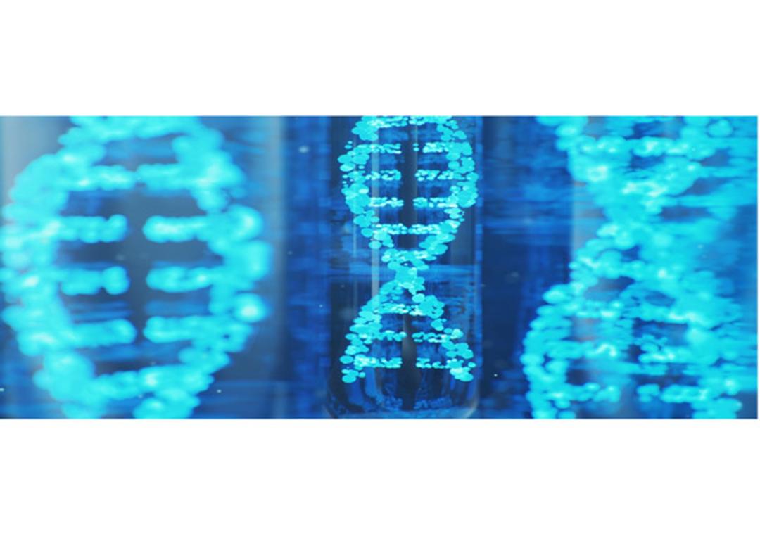 One-Stop Antisense Oligonucleotide (ASO) Development Services