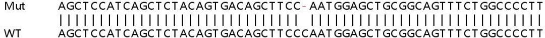 Sanger Seq - STAT3 knockout HeLa