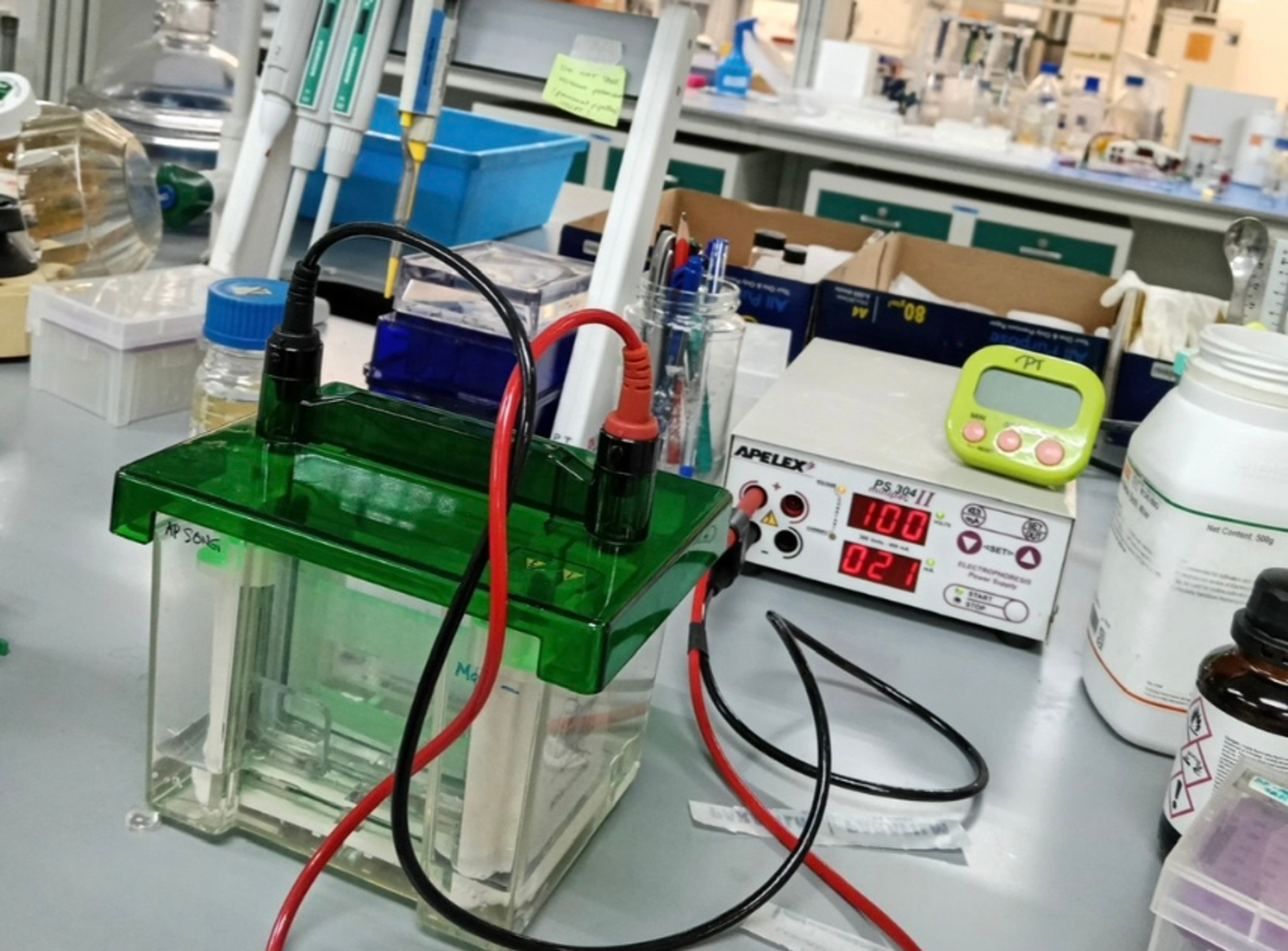 Using riboswitches to combat AMR