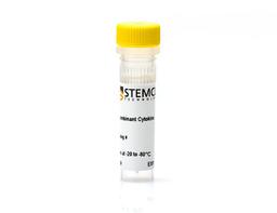 Human Recombinant Activin A