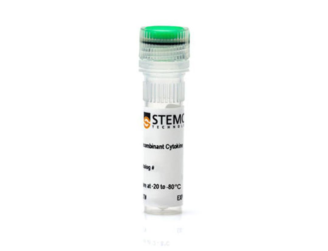 Mouse Recombinant TPO