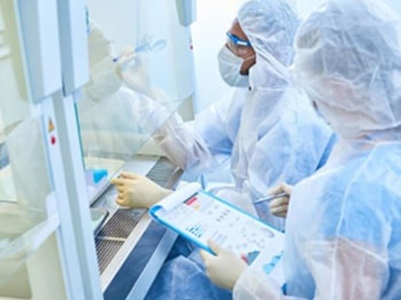 Scientists working in a safety cabinet